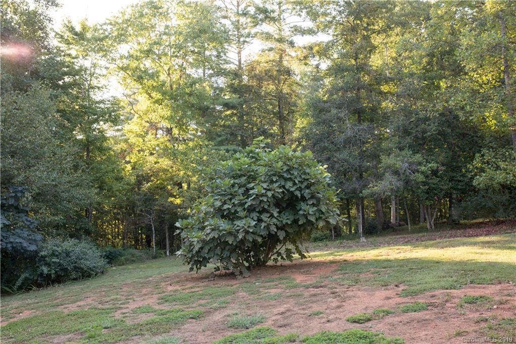 55 Hickory Hill Drive Marion NC 28752