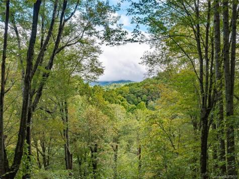 54 Sandy Lane Mars Hill NC 28754
