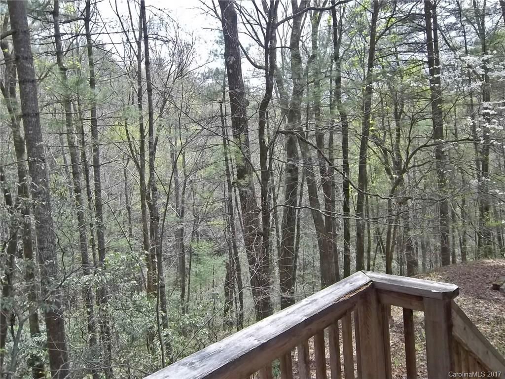 511 Dvdisdi Court Brevard NC 28712