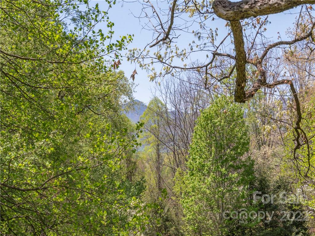 384 Thomas Park Drive Waynesville NC 28786