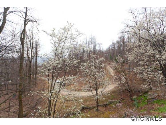 148 Locust Ridge Old Fort NC 28762