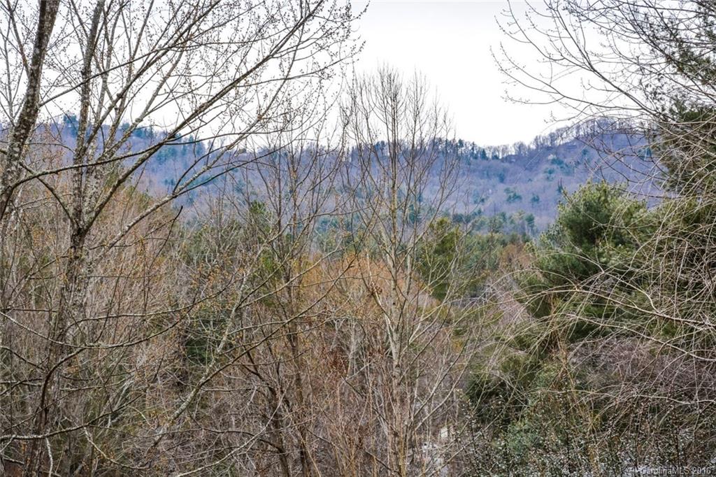 33 Brookcliff Drive Asheville NC 28804