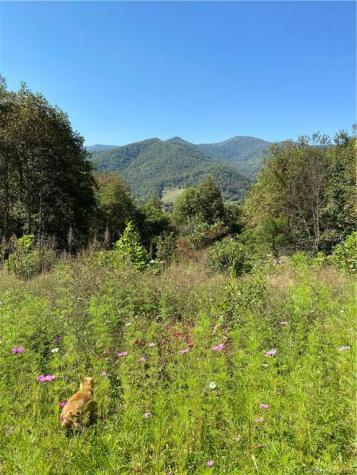 261 Harmony Trail Canton NC 28716