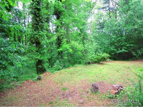 17 E. Starnes Cove Road Asheville NC 28806