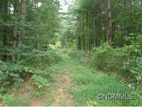 272 Big Cove Road Candler NC 28715