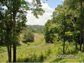36 Quick Silver Road Weaverville NC 28787