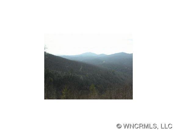 1506 Tower Road Sapphire NC 28774