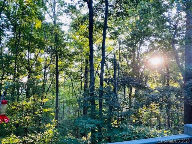 24 Mossy Rock Lane Leicester NC 28748