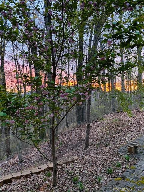 24 Mossy Rock Lane Leicester NC 28748
