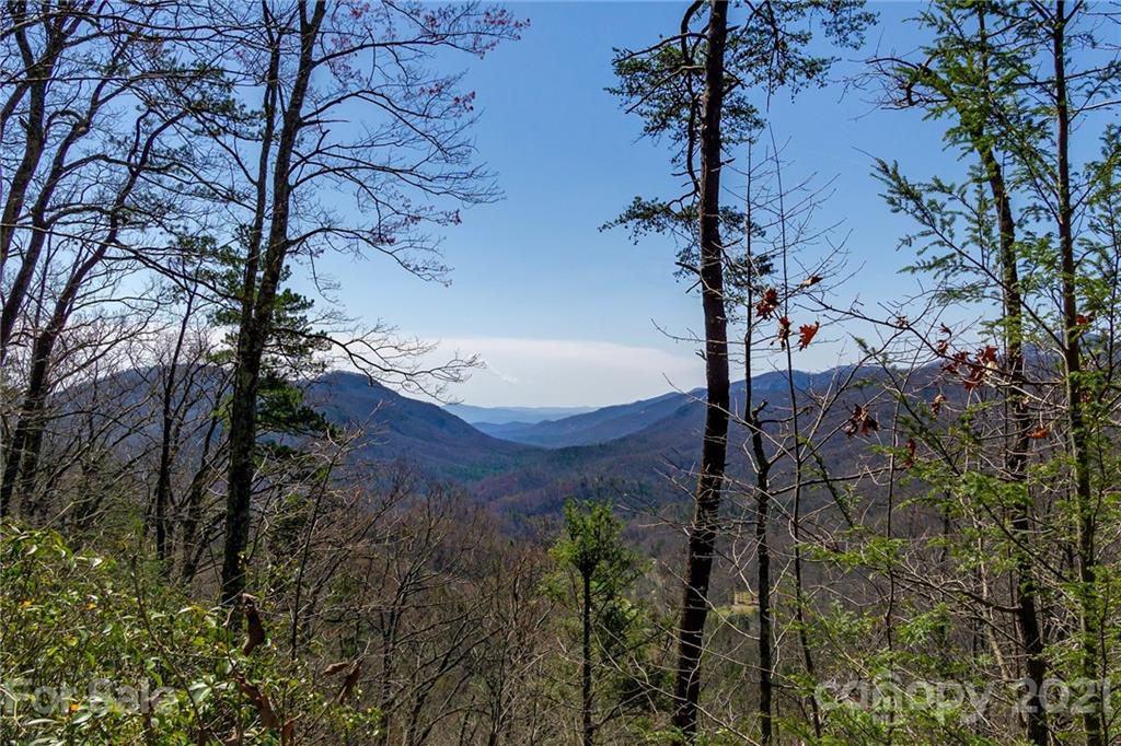 Gateway Mountain Community Real Estate North Carolina Greybeard