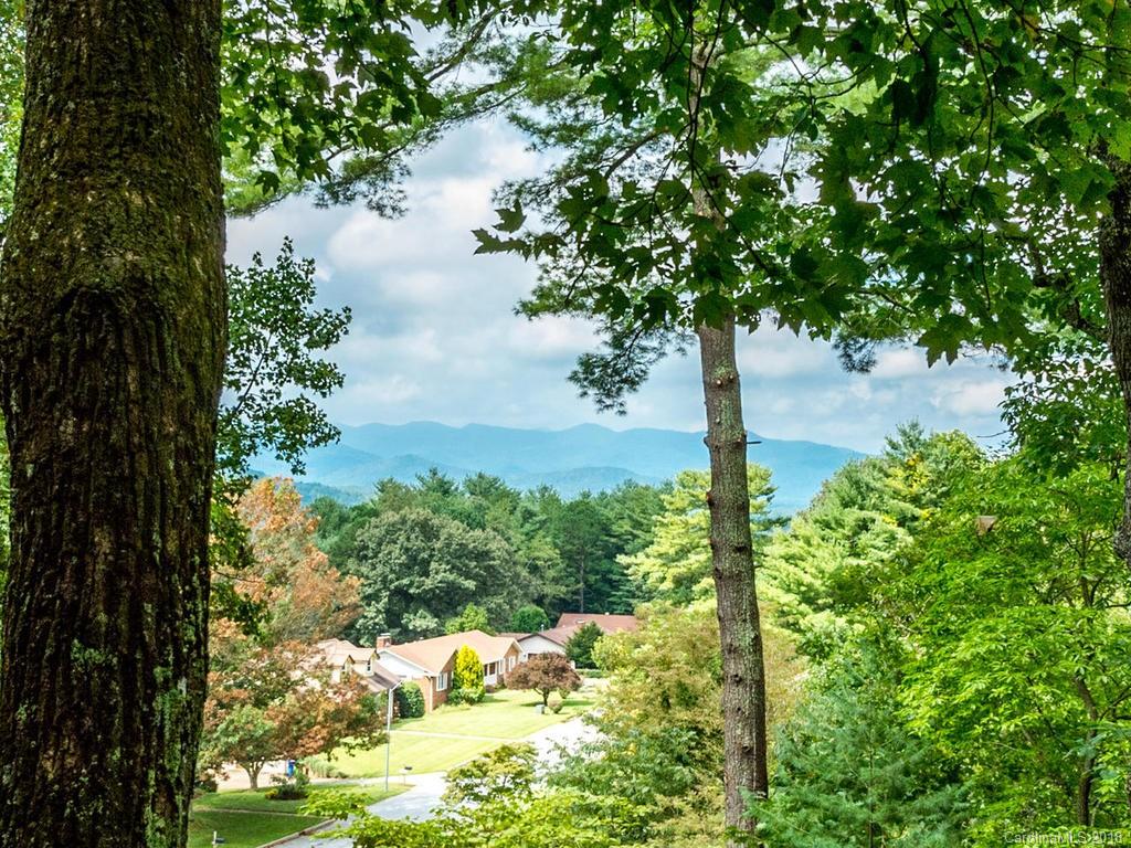 25 Gardenwood Lane Asheville NC 28803