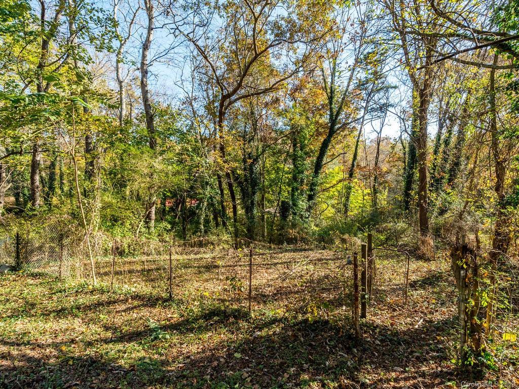 63 Morris Street Asheville NC 28806