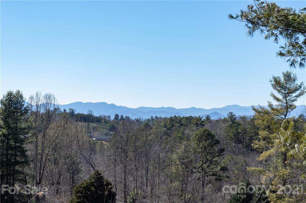 171 Double Brook Drive Weaverville NC 28787