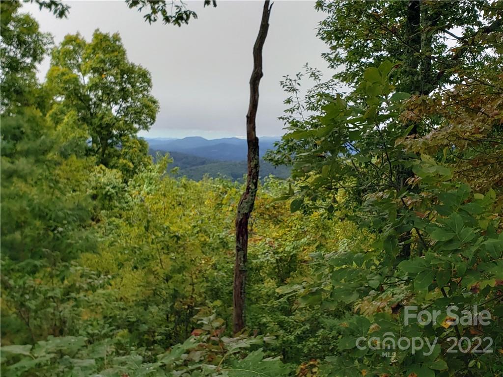 104 Windcliff Drive Asheville NC 28803