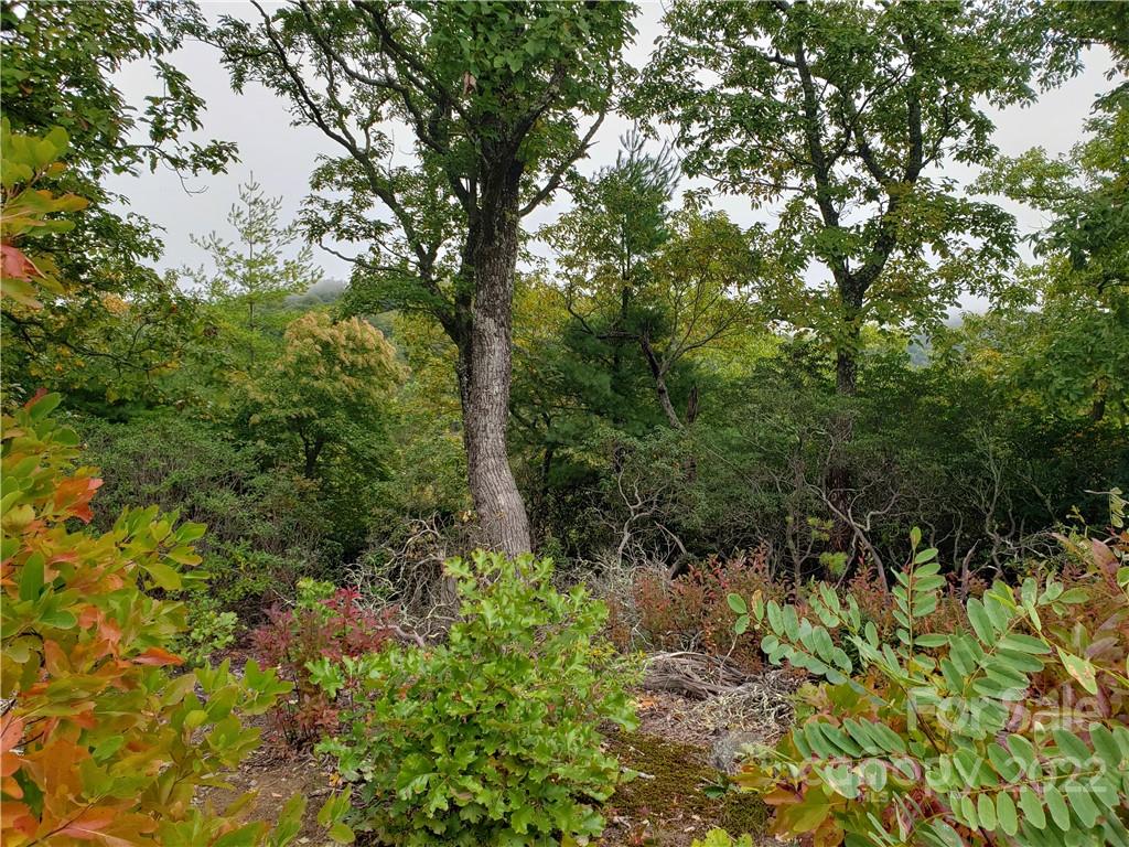 104 Windcliff Drive Asheville NC 28803