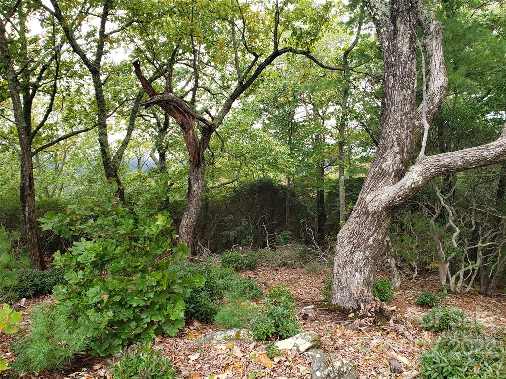 104 Windcliff Drive Asheville NC 28803