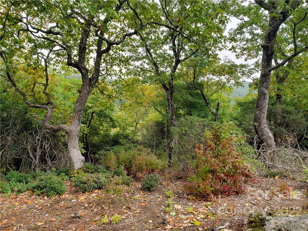 104 Windcliff Drive Asheville NC 28803