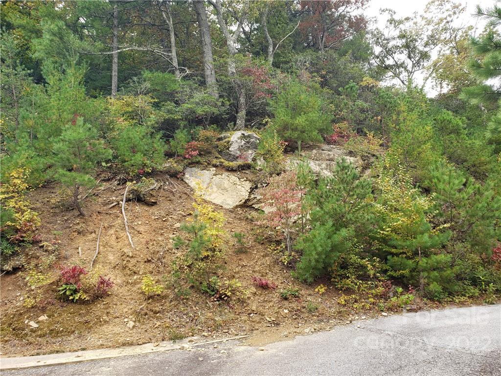 104 Windcliff Drive Asheville NC 28803