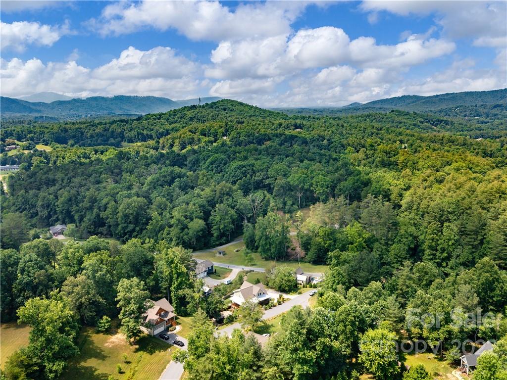 11 Forget Me Not Meadows Fairview NC 28730
