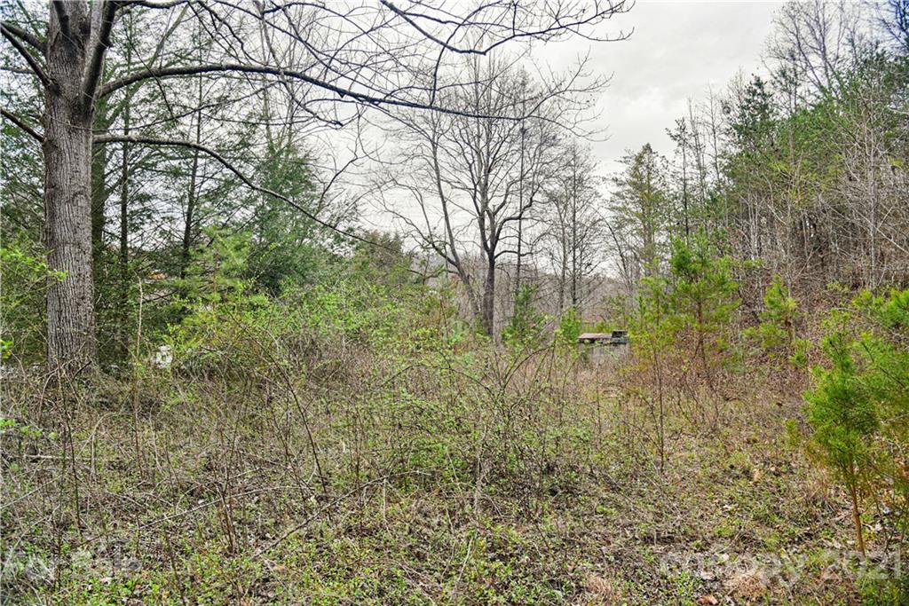 89 Flynn Branch Road Asheville NC 28804