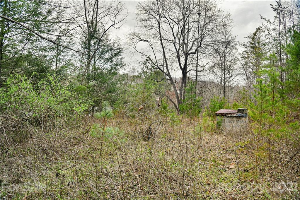 89 Flynn Branch Road Asheville NC 28804