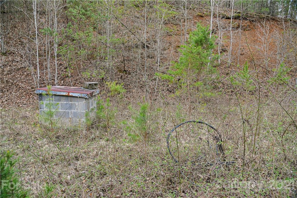 89 Flynn Branch Road Asheville NC 28804