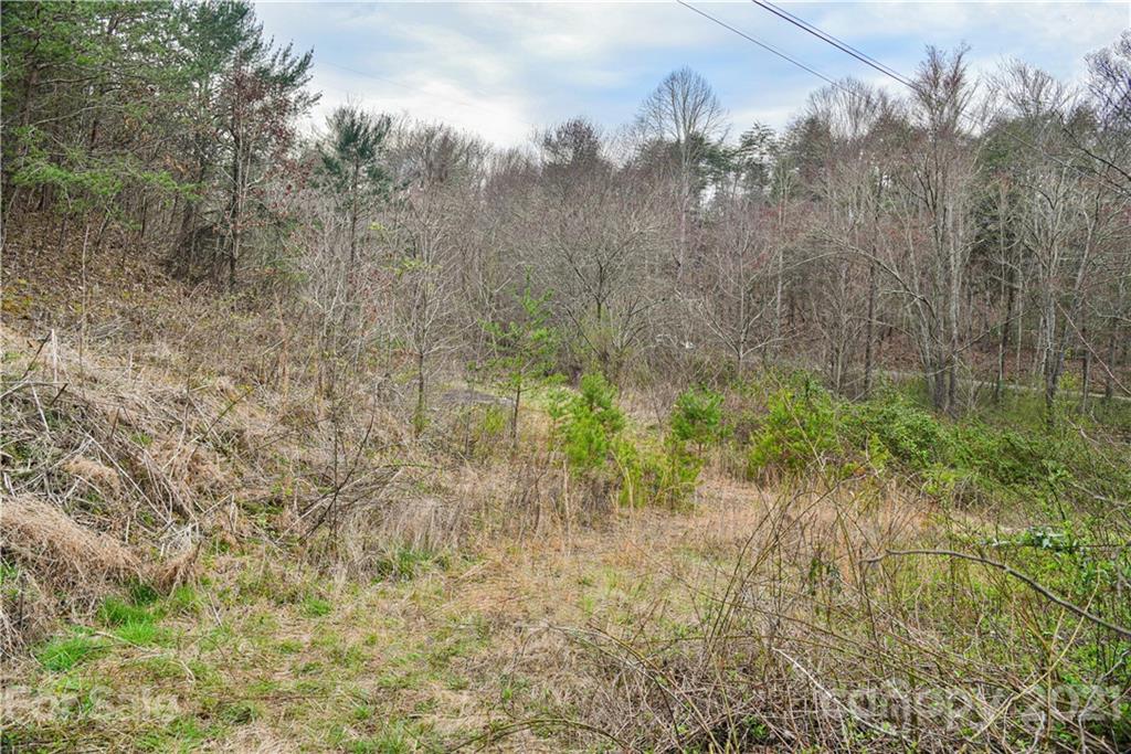 89 Flynn Branch Road Asheville NC 28804