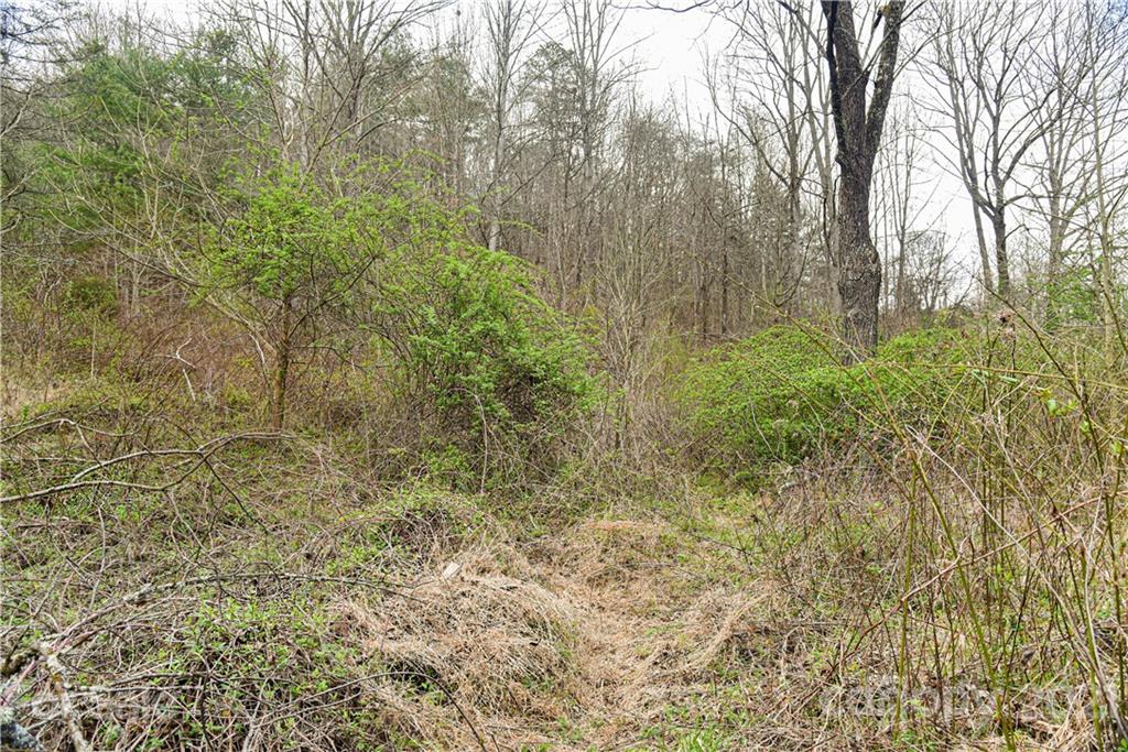 89 Flynn Branch Road Asheville NC 28804