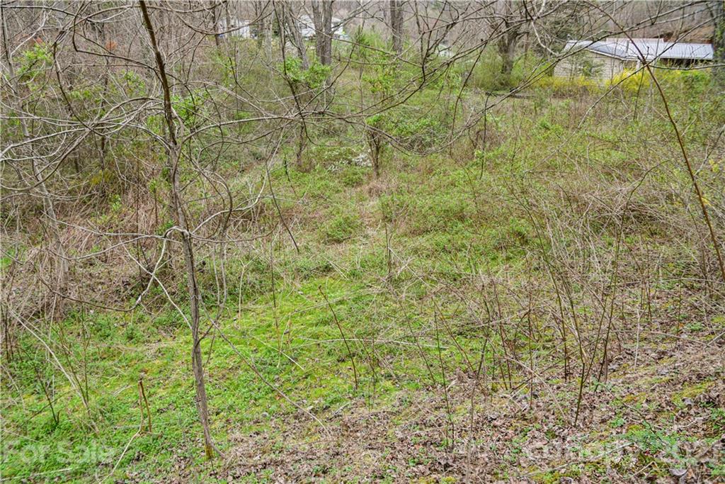 89 Flynn Branch Road Asheville NC 28804