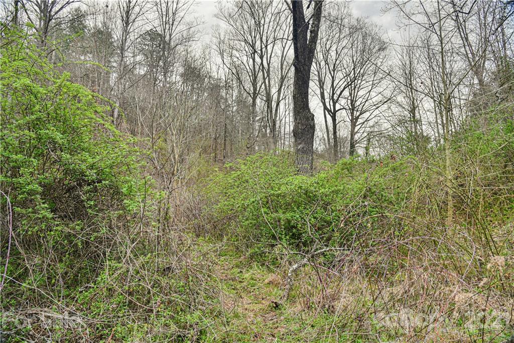 89 Flynn Branch Road Asheville NC 28804