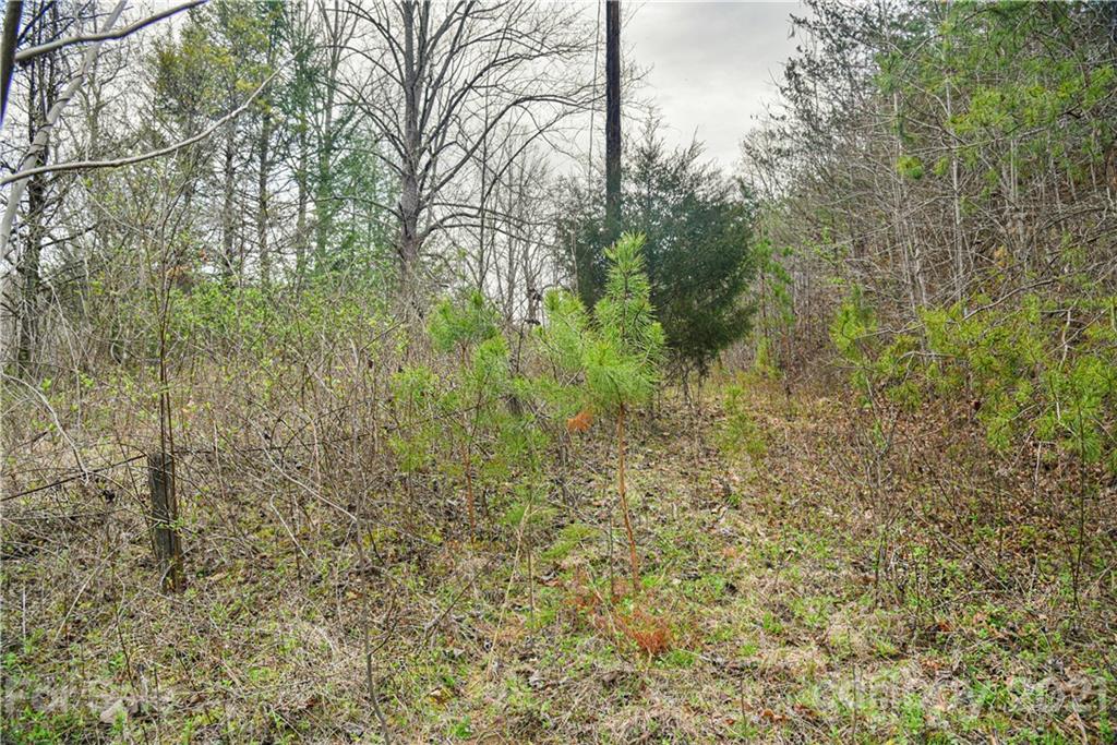 89 Flynn Branch Road Asheville NC 28804