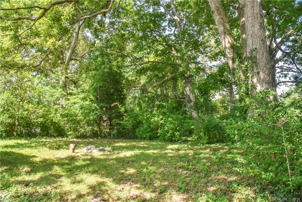 165 Delaware Place Asheville NC 28806