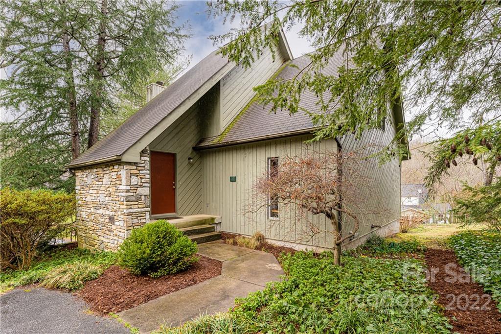 20 Beaverdam Court Asheville NC 28804