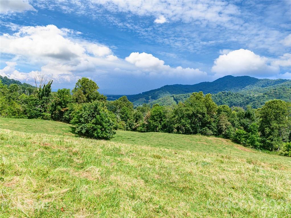 1397 Newfound Road Leicester NC 28748