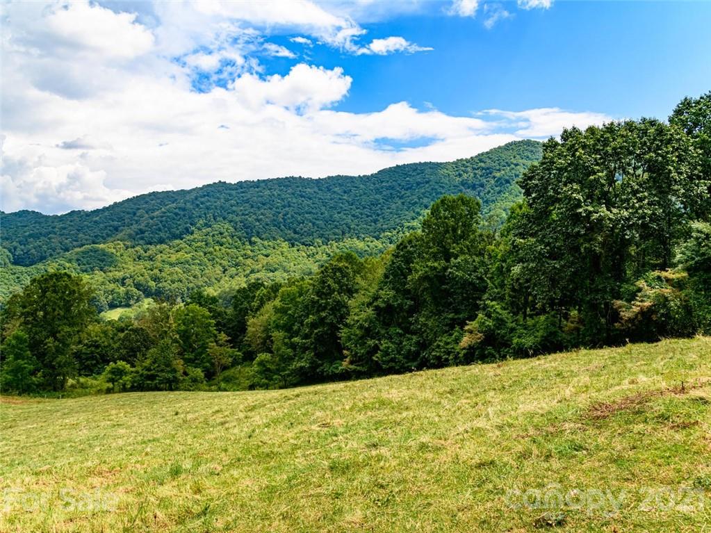 1397 Newfound Road Leicester NC 28748