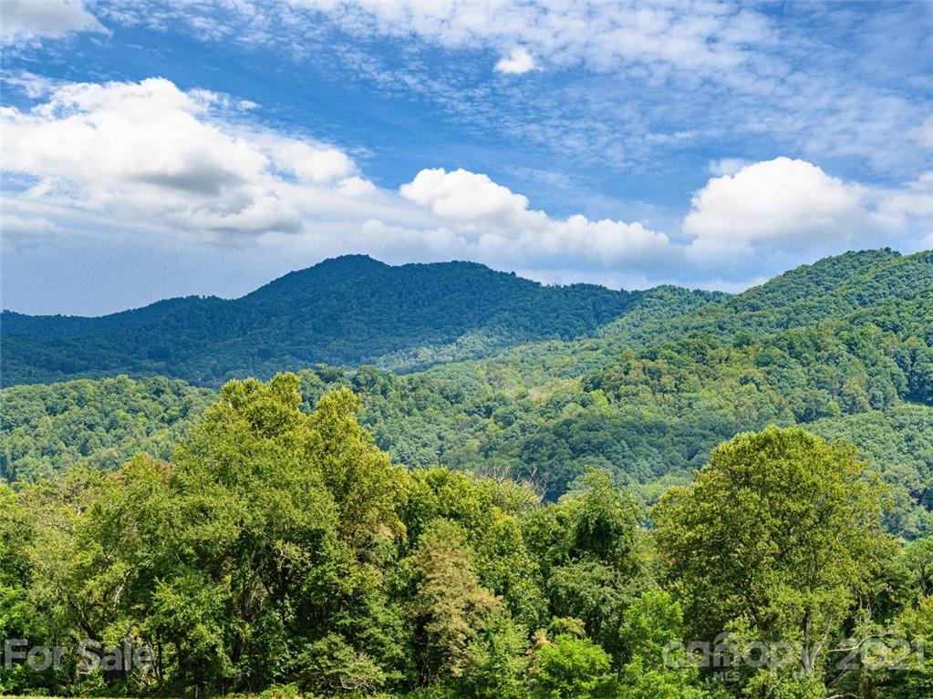 1397 Newfound Road Leicester NC 28748