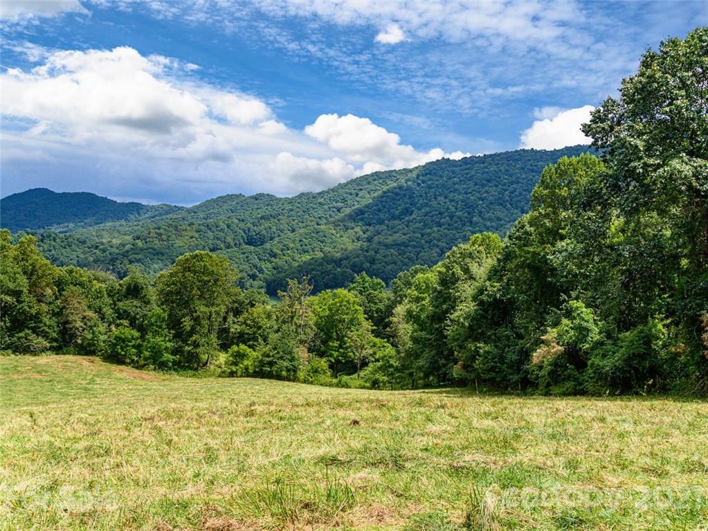 1397 Newfound Road Leicester NC 28748