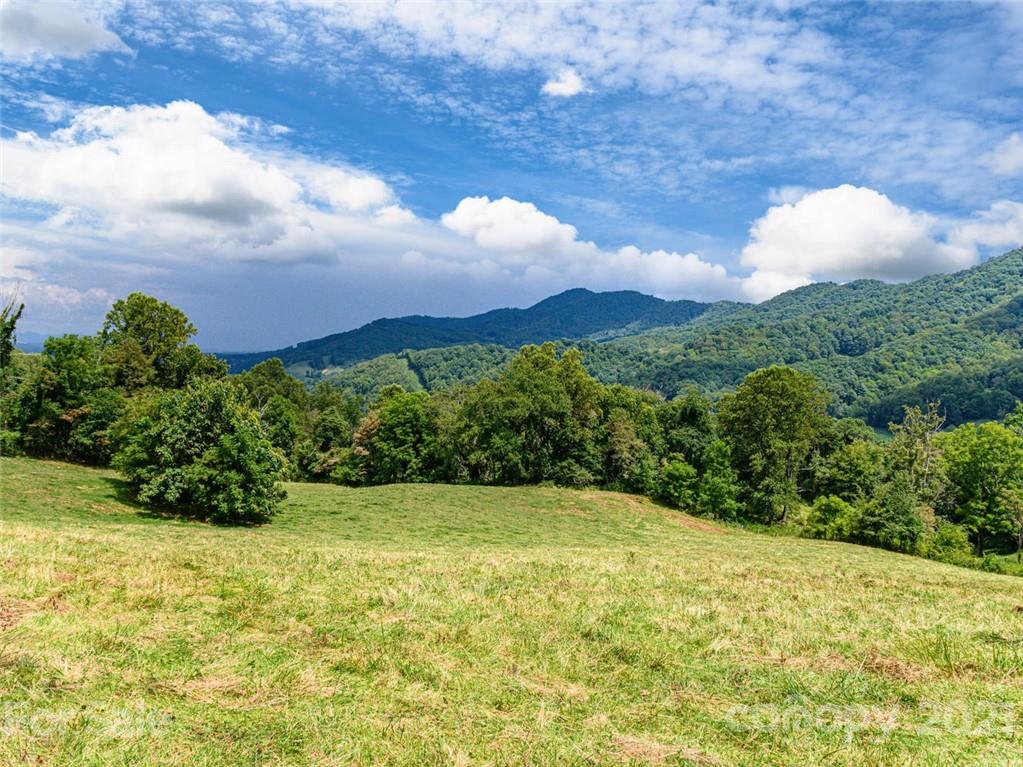 1397 Newfound Road Leicester NC 28748