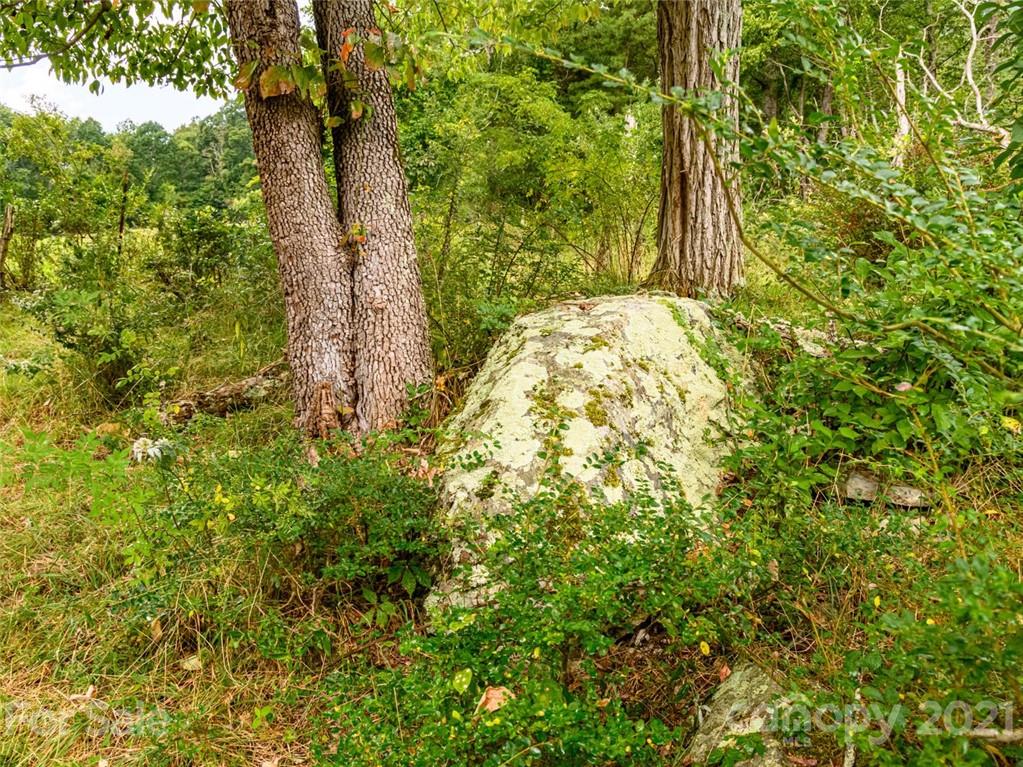 1397 Newfound Road Leicester NC 28748