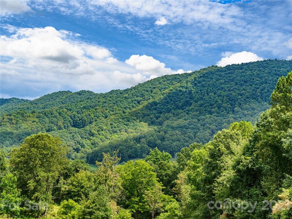 1397 Newfound Road Leicester NC 28748