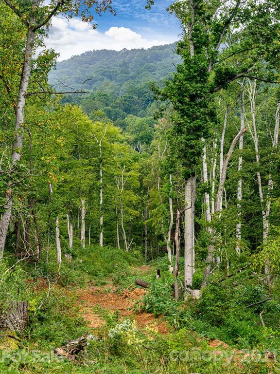 1397 Newfound Road Leicester NC 28748