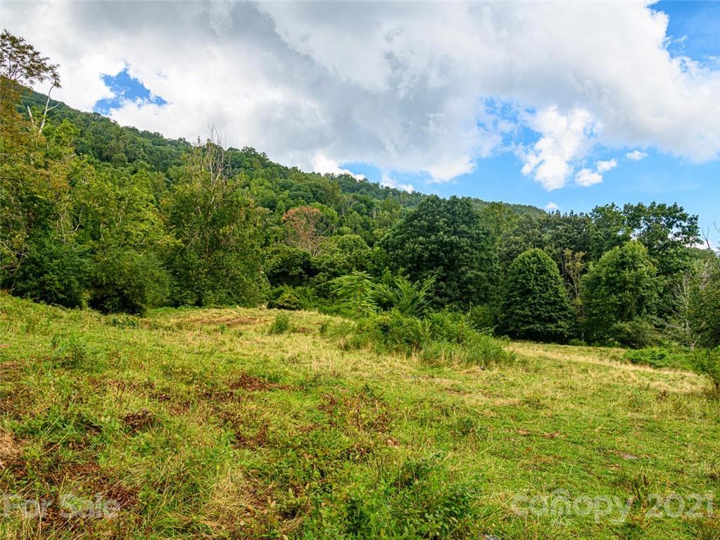 1397 Newfound Road Leicester NC 28748