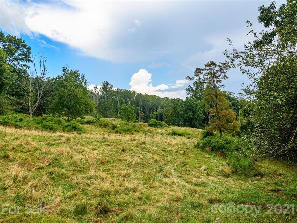 1397 Newfound Road Leicester NC 28748