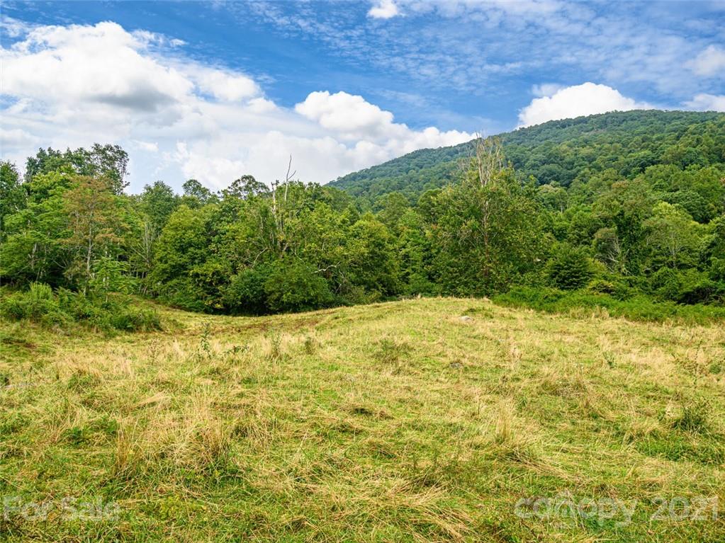 1397 Newfound Road Leicester NC 28748