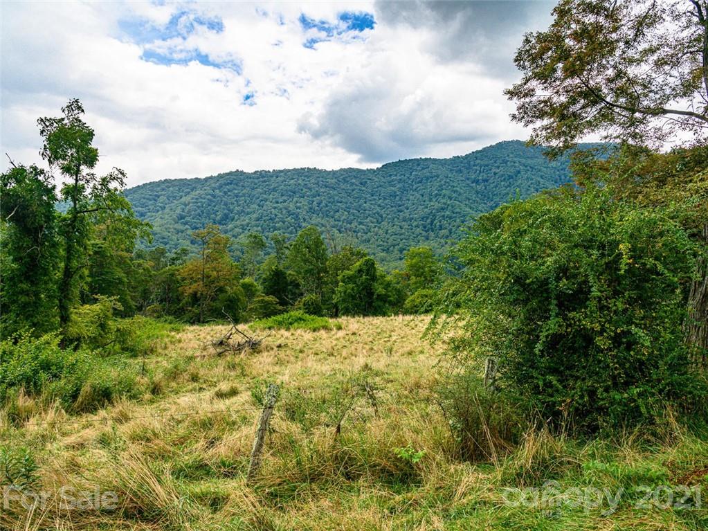 1397 Newfound Road Leicester NC 28748