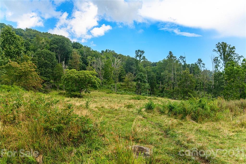 1397 Newfound Road Leicester NC 28748