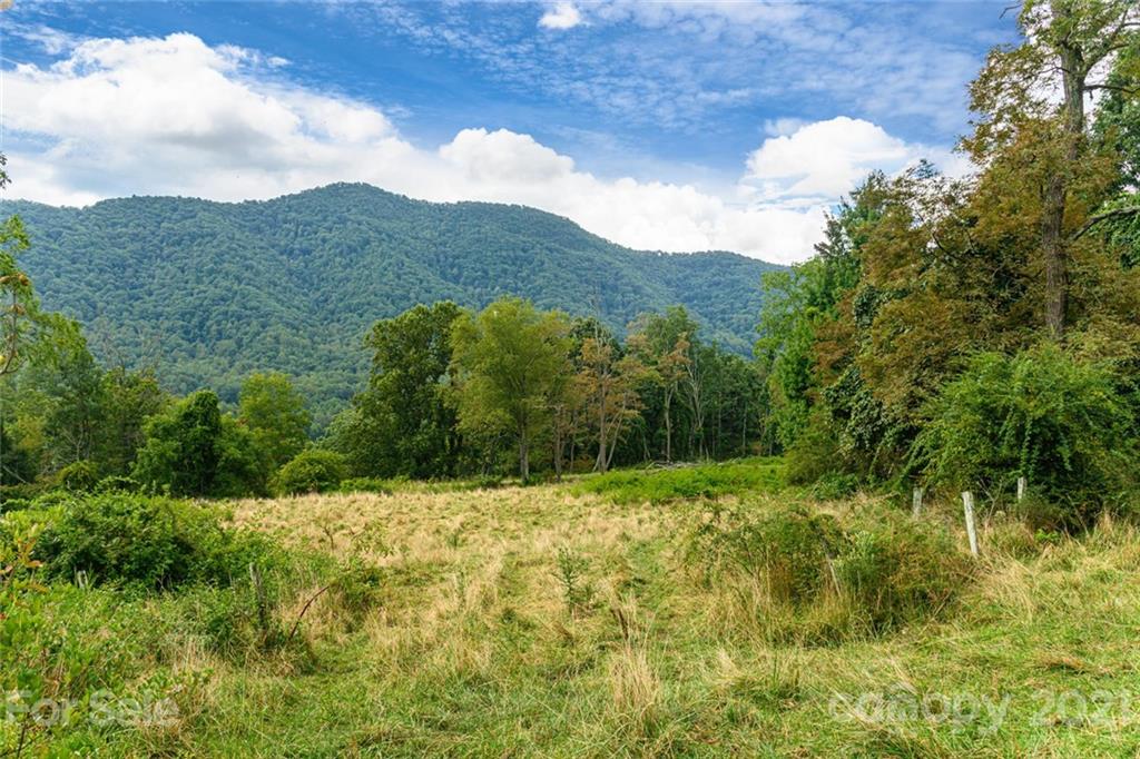 1397 Newfound Road Leicester NC 28748