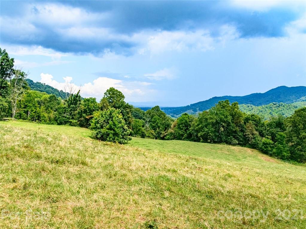 1397 Newfound Road Leicester NC 28748