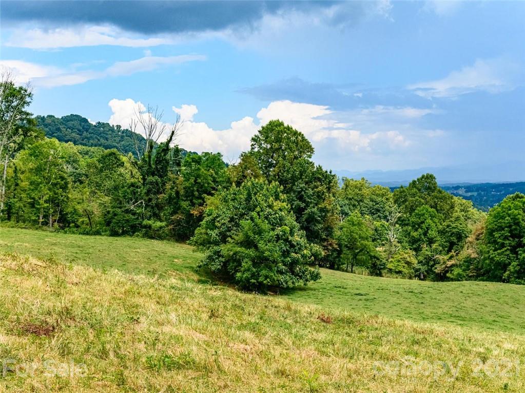 1397 Newfound Road Leicester NC 28748