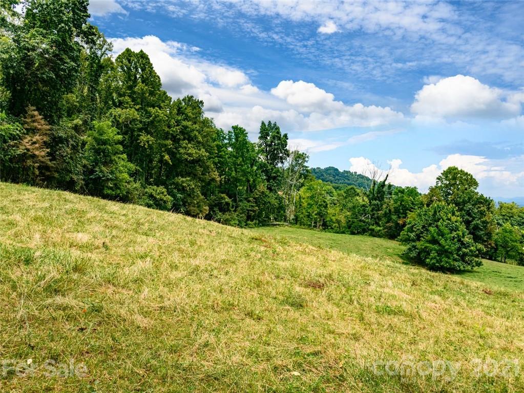 1397 Newfound Road Leicester NC 28748